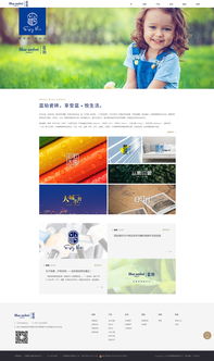 專注數字未來 佛山市火龍科技——您的網站設計、軟件開發與移動互聯網一體化解決方案專家